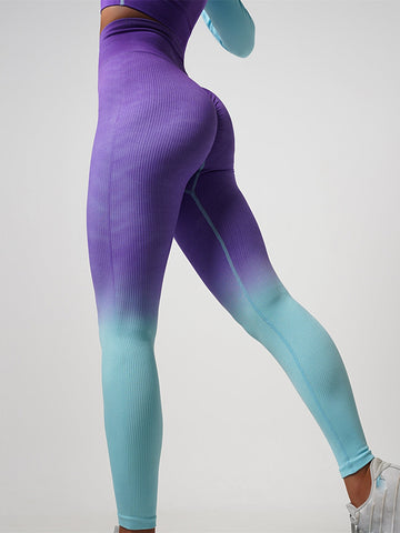 ZASUWA Female Fantasy Ombre Ribbed Scrunch Bum Leggings