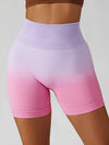 ZASUWA Female Rainbow Ombre Ribbed Scrunch Bum Spandex Gym Booty Shorts